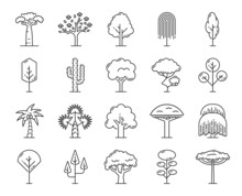 Tropical Trees, Outline Icons Of Isolated Beach, Jungle Forest And Park Trees, Vector Thin Line Symbols. Garden And Forest Tree Plants Of Palm, Baobab And Cactus, Maple, Oak And Birch Tree With Leaves