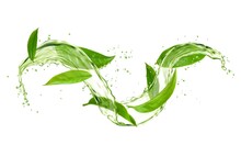 Herbal Tea Drink Wave Splash With Green Tea Leaves And Water Flow, Realistic Vector. Green Tea Leaves With Isolated Water Spill Flow, Ice Tea Fresh Drink Or Lemonade Drops Splash
