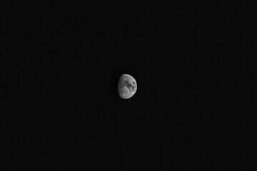 moon in the sky