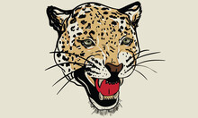 Leopard Face Vector Print Design. Animal Face Artwork For Posters, Stickers, Background And Others. Wild Cat Illustration.