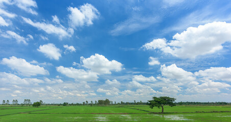 Canvas Print - beautiful sky with white clouds