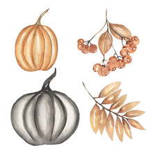 Watercolor Hand Drawn Halloween Black Pumpkin And Florals Clipart Set,  Beige Leaves Branch And Berries, Autumn Harvest Time