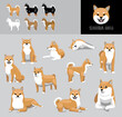 Dog Shiba Inu Cartoon Vector Illustration Color Variation Set