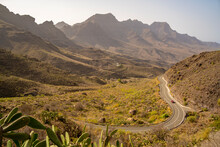 View Of Road And Flora In Mountainous Landscape Near Tasarte, Gran Canaria, Canary Islands