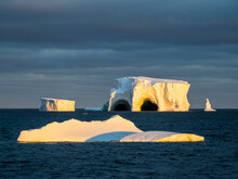 Large Icebergs Floating In The Bellingshausen Sea