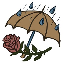 Wall Mural - One rose lies protected from the rain by an umbrella. Rough vector cartoon colored doodle isolated on transparent background