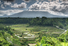 Rice Terraces And Fields With The Gunung Agung Volcano In The Background Surrounded By Clouds, Bali, Indonesia