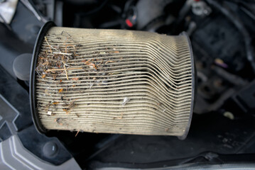 Wall Mural - dirty air filter on the car. Car service