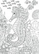Adult coloring book page. Seahorse and underwater background.