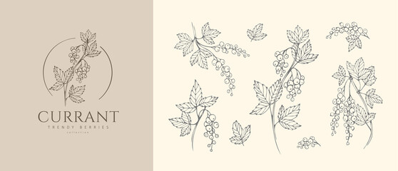 Currants berries flowers floral branch and logo set. Hand drawn line herb, elegant leaves for invitation save the date card. Botanical rustic