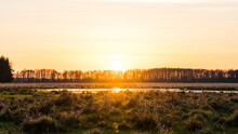 Golden Sunset Over A Pasture With A Pond And Trees In The Background