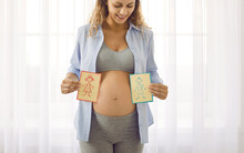 Happy Pregnant Woman Holding Gender Reveal Party Cards With Design In Hand Drawing Style. Woman In Leggings, Top And Shirt Standing On Background Of Window Holding Cards Depicting Boy And Girl.