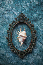 Seashell In A Copper Oval Frame With Baroque Patterns On A Blue Textured Wall
