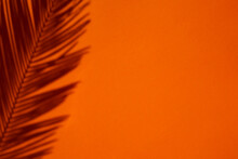 Trending Concept In Natural Materials With Palm Leaves Shadow On Orange Background.