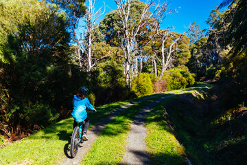 Canvas Print - O'Shannassy Aqueduct Trail near Warburton in Victoria Australia