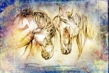 Colorful Horse Art Illustration Grunge Painting Drawing