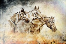 Colorful Horse Art Illustration Grunge Painting Drawing