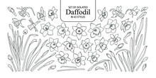 Set Of Isolated Daffodil In 43 Styles. Cute Hand-drawn Flower Vector Illustration In Black Outline And White Plane On White Background.