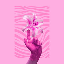 Painted Hand Touching Lily Flower. Contemporary Art Collage. Modern Design Work In Neon Trendy Colors. Tender Human Hands. Stylish And Fashionable Composition
