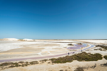 Colorful salines in france camargue