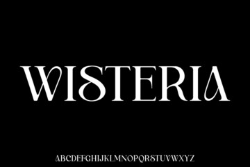 Wall Mural - unique and elegant alphabets display font vector