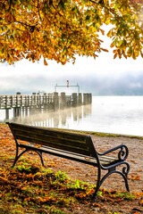 Canvas Print - bench at a park