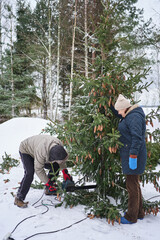 a senior man in a hat with earflaps and a senior woman cut down the lower branches of a freshly sawn Christmas tree hung with cones on the snow with a chainsaw