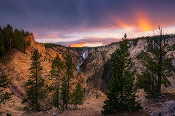 Wall Mural - Dramatic sunset light over Yellowstone Falls from Artists Point in Yellowstone national Park