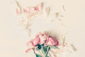 Wall Mural - beautiful retro pink and white peony flowers with copy space for your text top