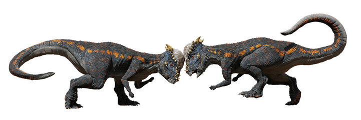 Wall Mural - Pachycephalosaurus, head-butting dinosaurs from the Late Cretaceous period, isolated on white background