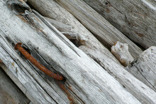 Rusty Nail In Driftwood