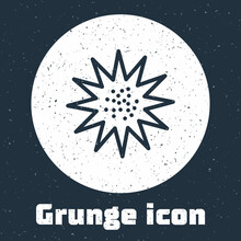 Grunge Line Sea Urchin Icon Isolated On Grey Background. Monochrome Vintage Drawing. Vector.