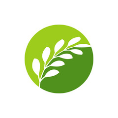 Wall Mural - tropical leaves logo icon design vector