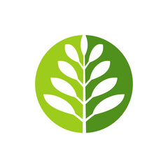 Wall Mural - tropical leaves logo icon design vector
