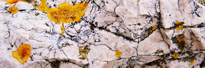 Natural rock stone texture with yellow lichen.