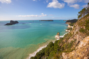 Canvas Print - New Zealand coast