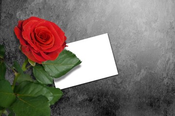 Poster - Valentines day concept. White greeting card with red rose flowers bouquet and gift box on stone table