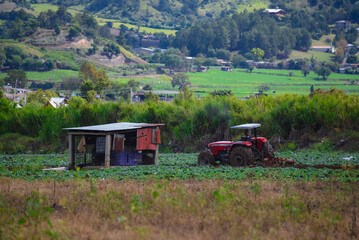 Agricultor en tractores preparando tierras con cultivo de semilla