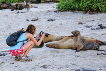 Tourist photographing friendly Galapagos sea lions on Santa Fe Island, Galapagos National Park, Ecuador.