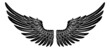 Spread Pair Of Angel Or Eagle Feather Wings