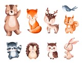 Fototapeta Pokój dzieciecy - Set of Cute Woodland Animals Illustration 