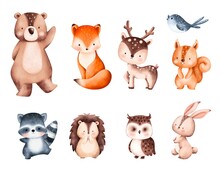 Set Of Cute Woodland Animals Illustration 