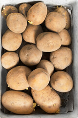 Sticker - Raw potatoes in a box