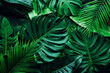 canvas print picture - closeup nature view of palms and monstera and fern leaf background. Flat lay, dark nature concept, tropical leaf.
