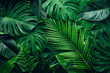 canvas print picture - closeup nature view of palms and monstera and fern leaf background. Flat lay, dark nature concept, tropical leaf.