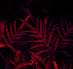 Wall Mural - Tropical black light glowing leaves.