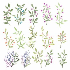 Wall Mural - set watercolor elements of burgundy flowers, leaves, branches, botanic illustration isolated on whit