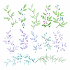 Wall Mural - set watercolor elements of burgundy flowers, leaves, branches, botanic illustration isolated on whit