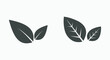 green, leaf, plant, tea, tree icon vector symbol isolated set