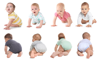 Poster - Collage with photos cute little babies crawling on white background